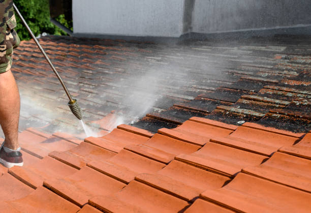 Best Roof Power Washing Services  in Oak Harbor, WA